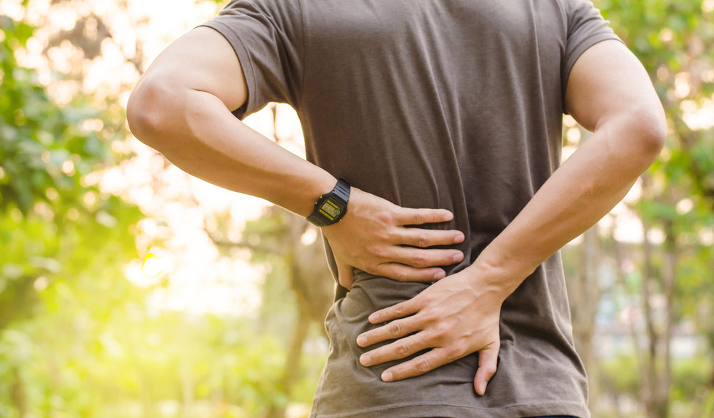 Finding the Right Chair to Help Cure Lower Back Pain