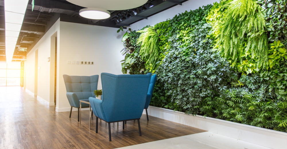 Breath Easy, The 5 office plants that clean your air and look good while doing it.