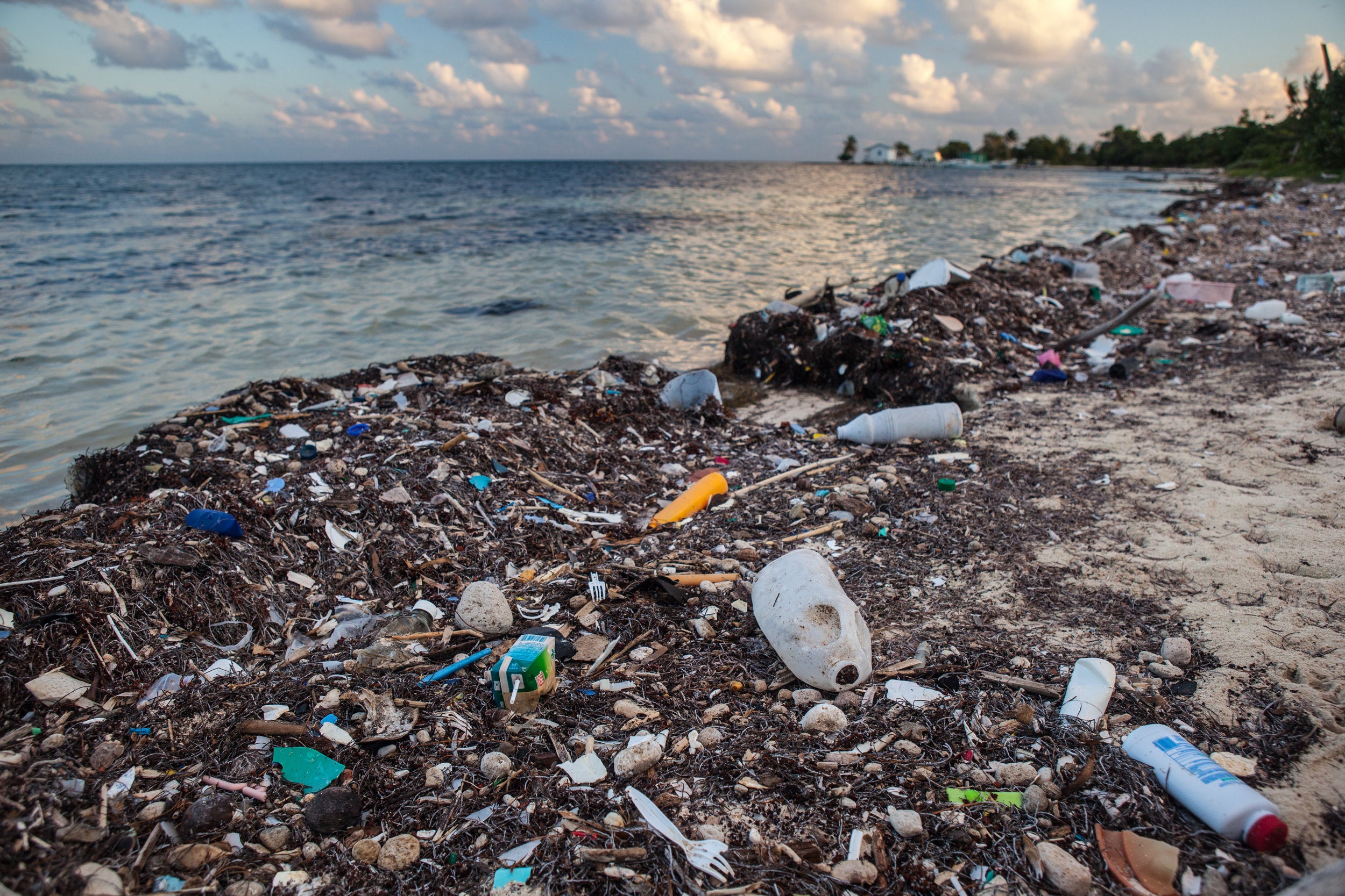 How to keep rubbish out of our oceans.
